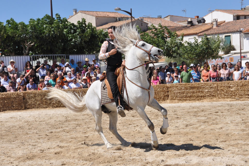 France, Provence, Camargue, Saintes Maries de la Mer